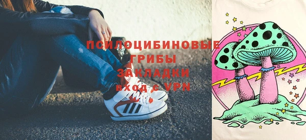 СК Абаза
