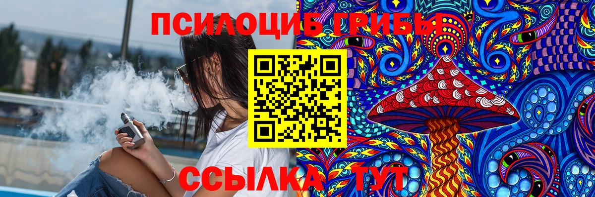 Галлюциногенные грибы Psilocybe  Вход с VPN  Северодвинск 